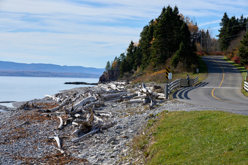Eau,Plage,Petit-Gaspé,Milieu naturel,Forêt,Parc Forillon,Saison,Automne,Parc provincial,Jour,Temps